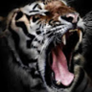 Meet your Posher, Tyrone